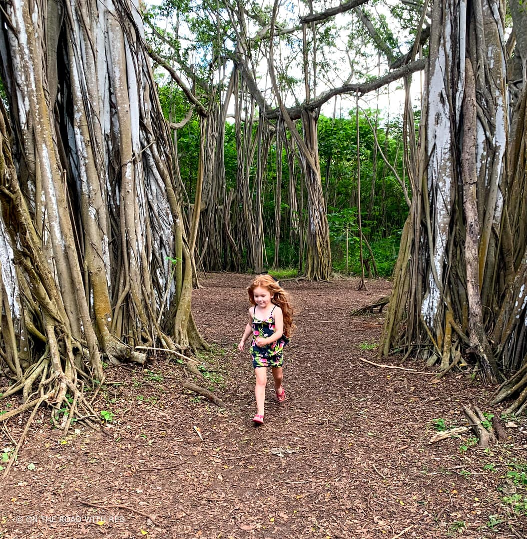 a child running through a Banyan Tree Forest