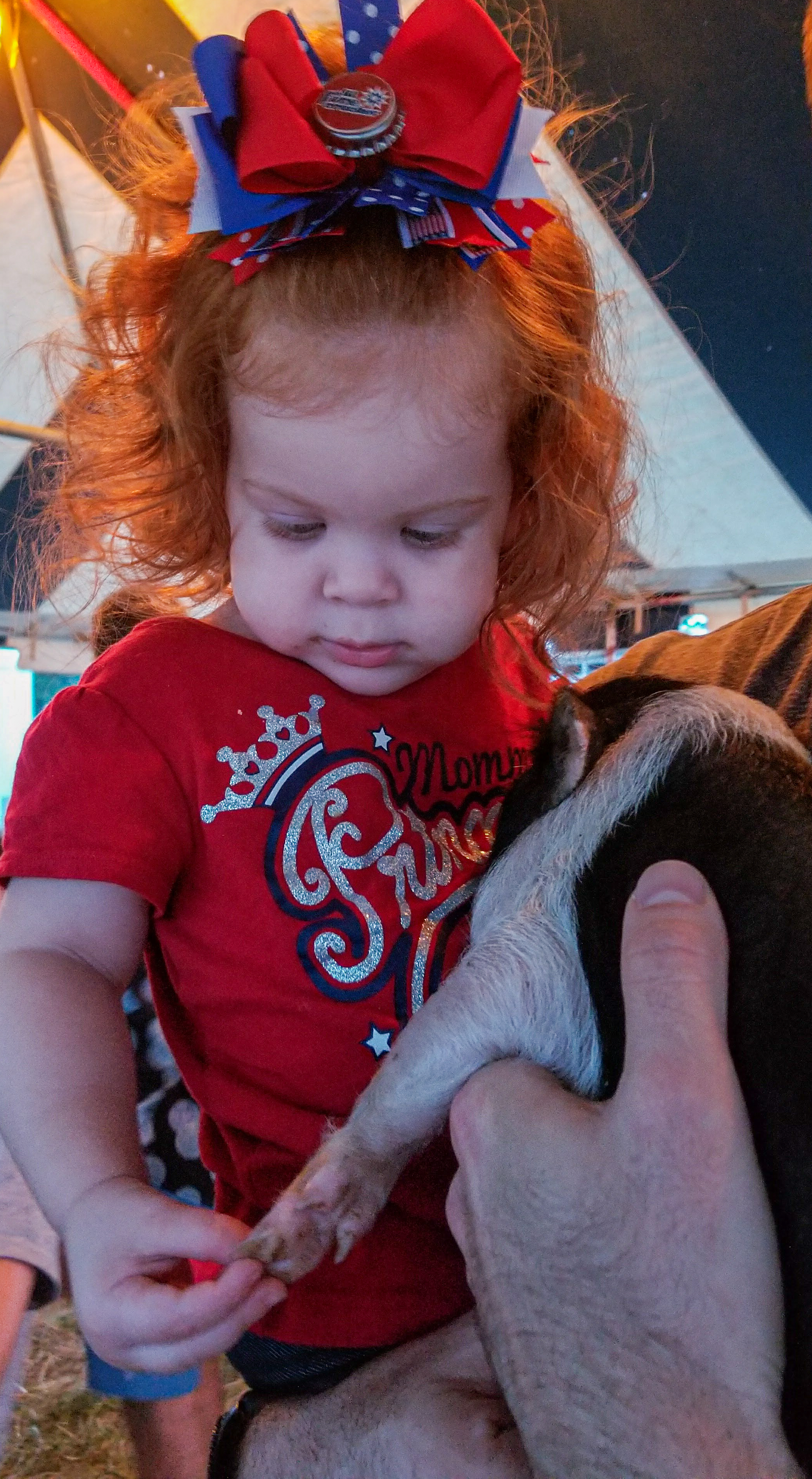 a toddler holding a foot of a baby pig