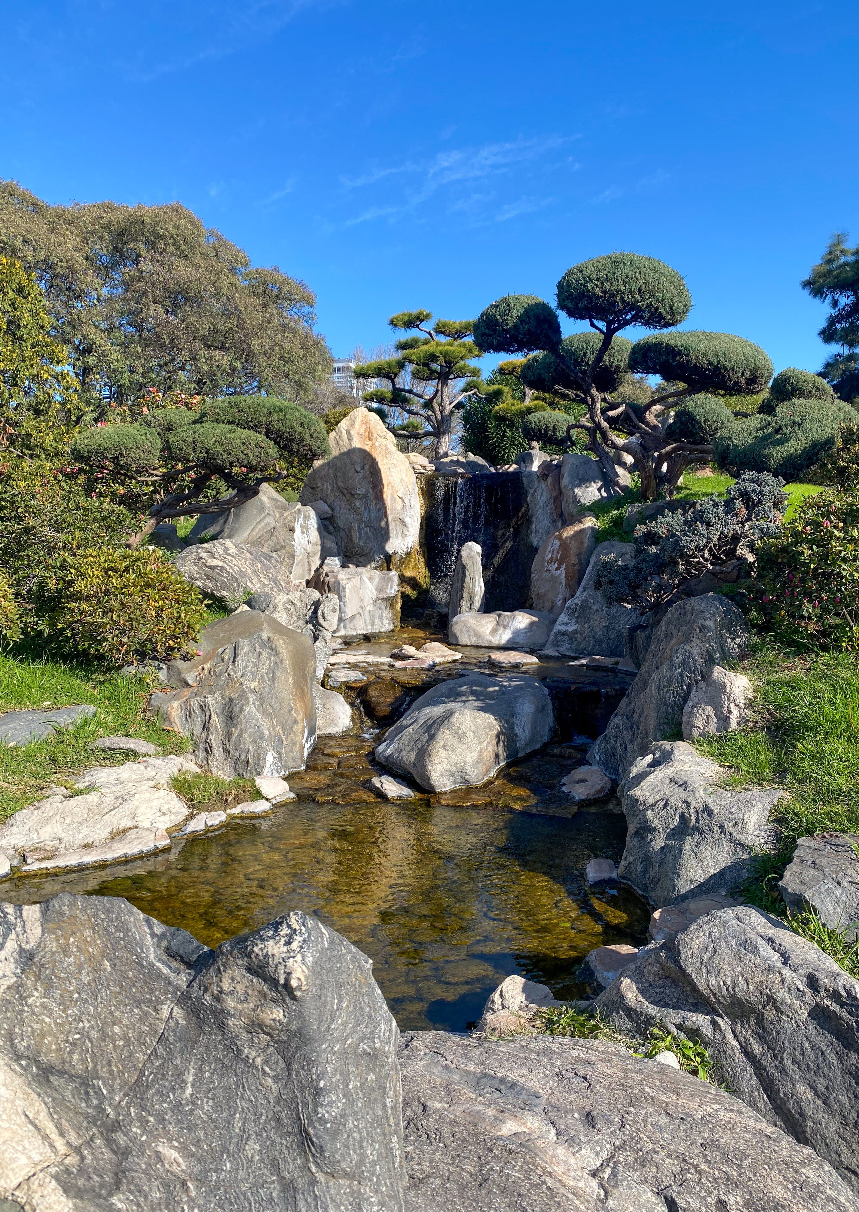 a rock waterfall surrounded by trees