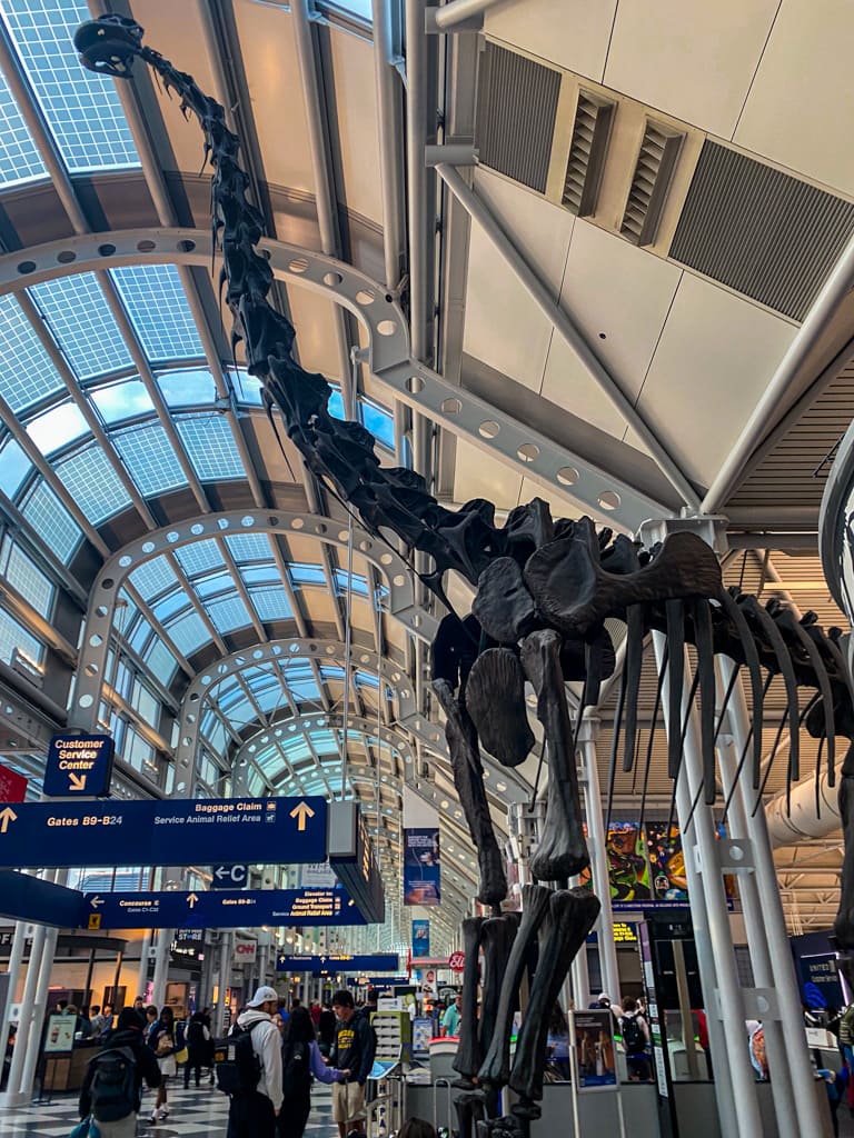 a brachiosaurus at o'hare airport