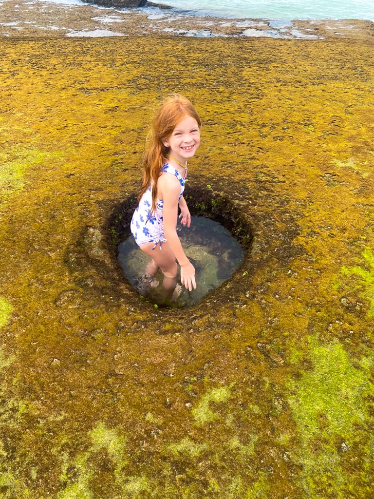a child in a small tide pool