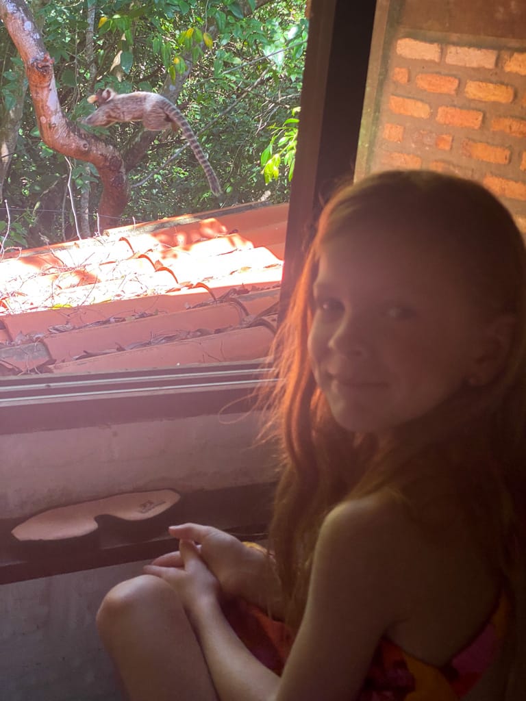 marmosets visiting a child outside her bedroom window in brazil.