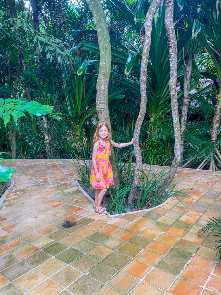 a child standing againt a tree in brazil