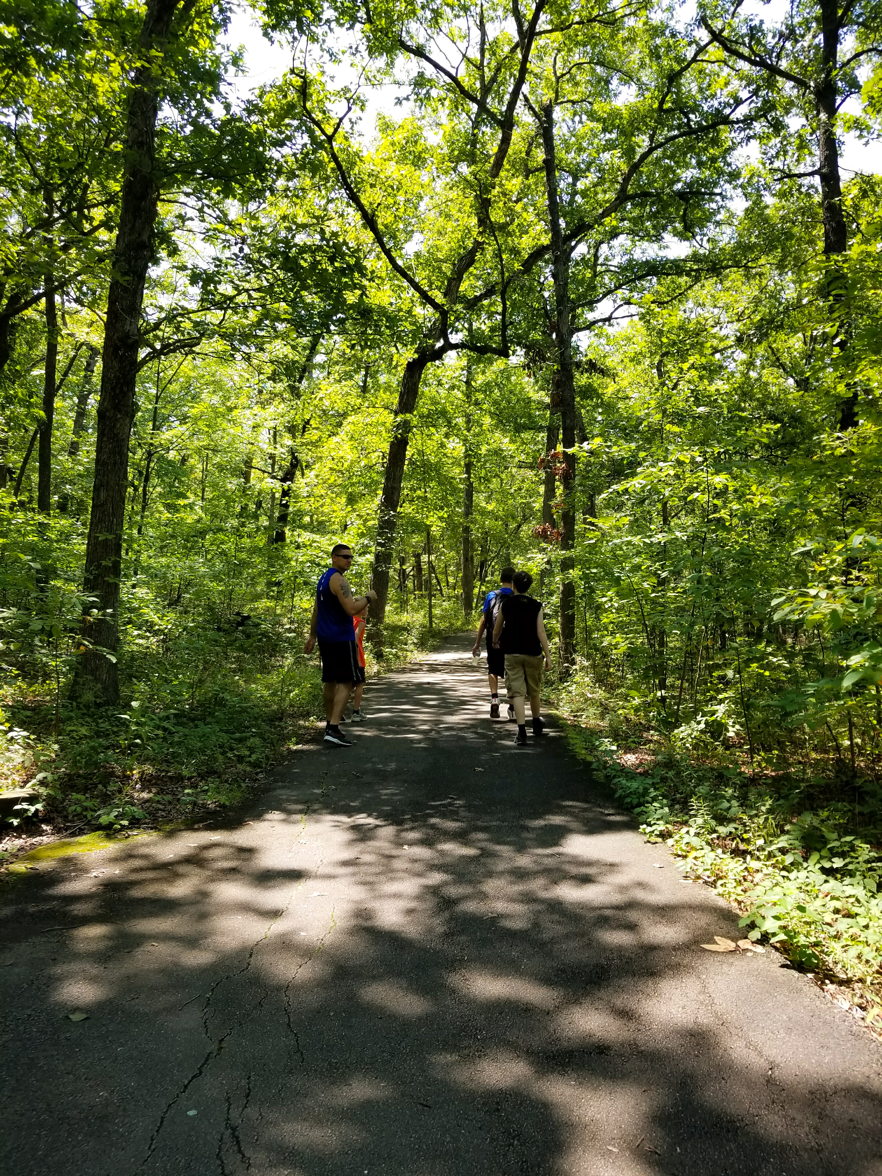 people walking down a wooded path