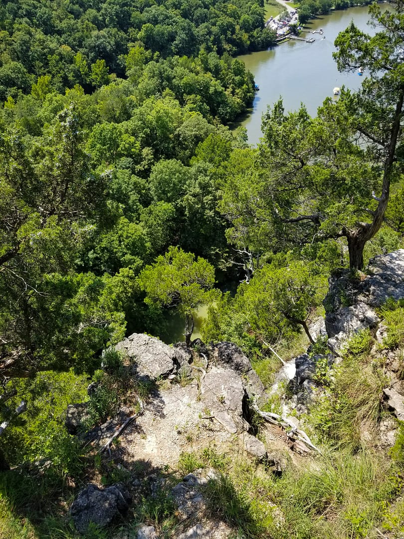 a large treed valley with a river.