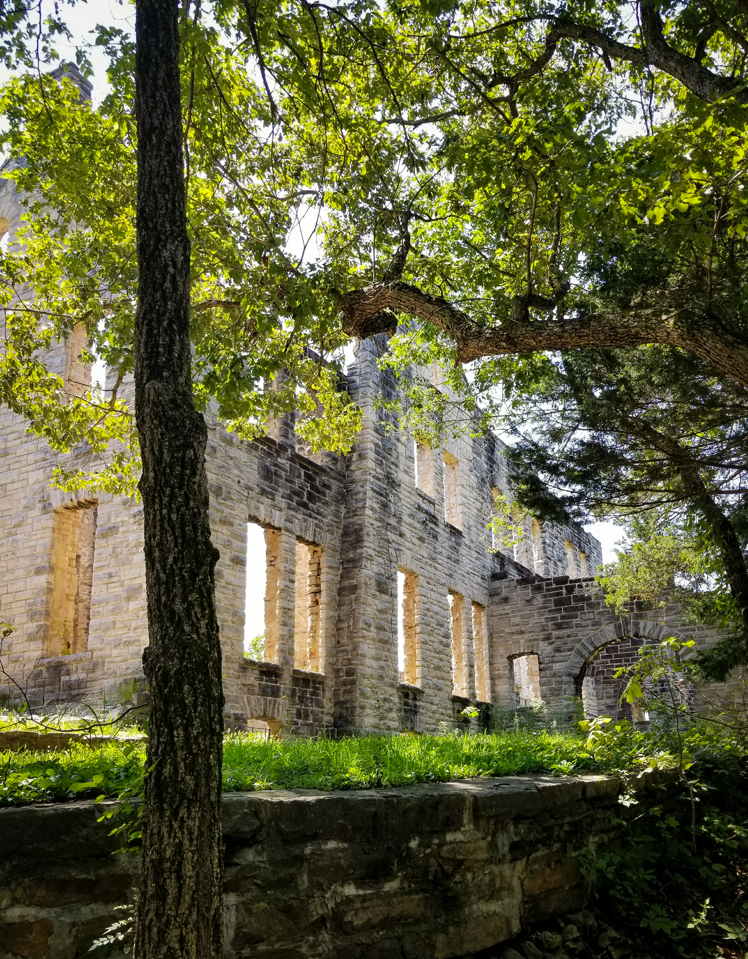 the ruins of a castle in the forest.